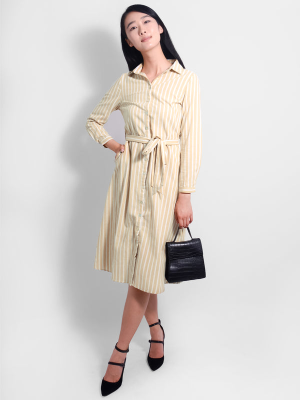 Calypso Stripe Shirt Dress