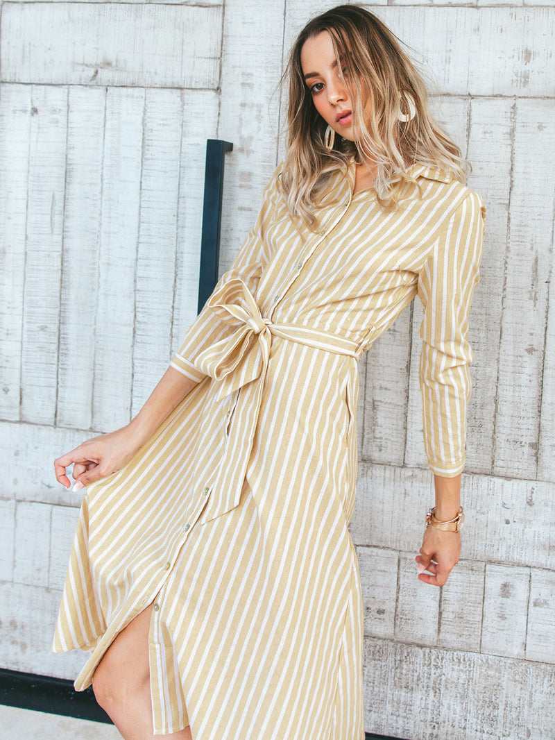 Calypso Stripe Shirt Dress